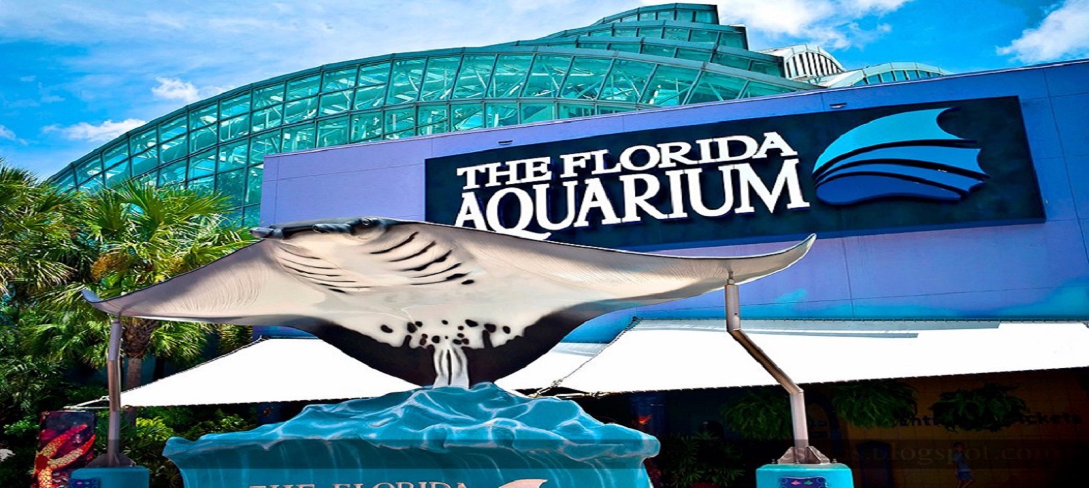 The Florida Acquarium